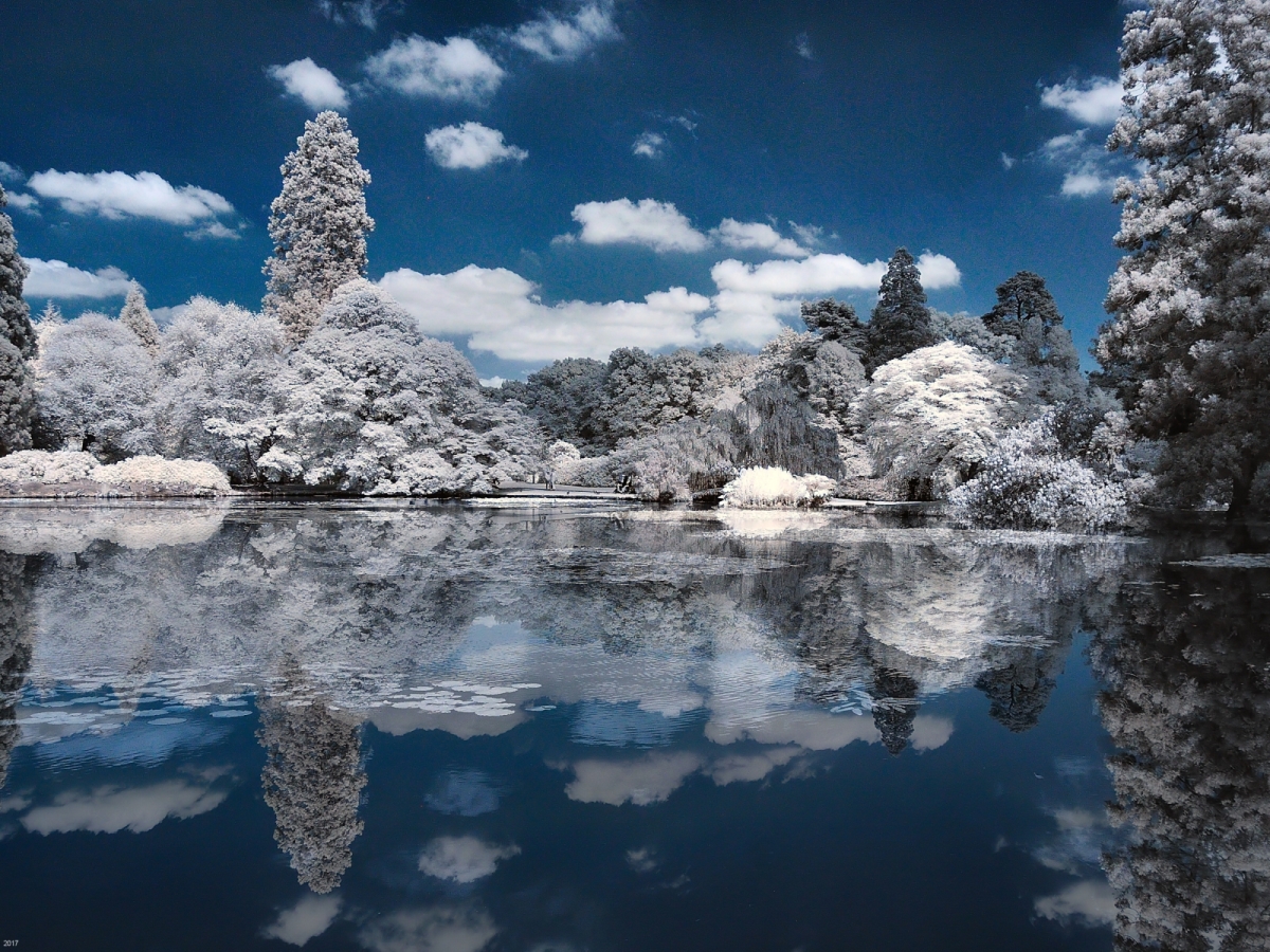 D90 modified for IR at 720nm; Nik 18-35mm; landscape near Fletching, East Sussex
